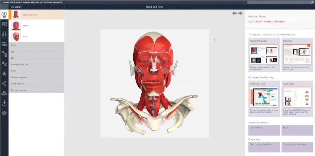 Captura de Primal Pictures on es veu el model anatòmic d'un cap humà