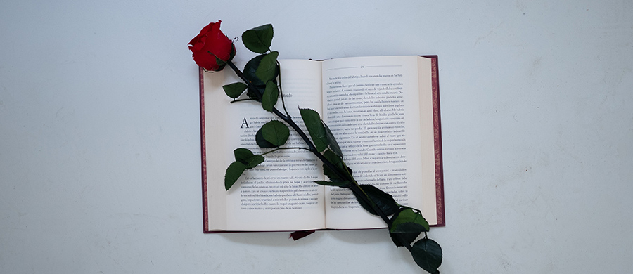 Un libro y una rosa